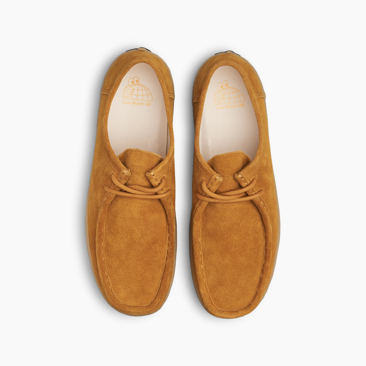 VM006-Moc-Lo (Golden Brown/Gum)